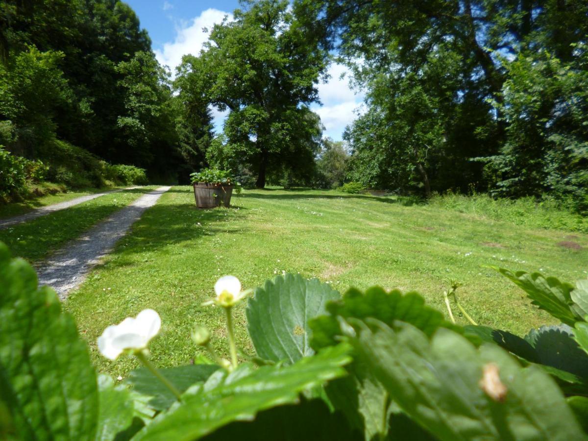 Bed and Breakfast Le Moulin De Cors Oulches Exterior foto